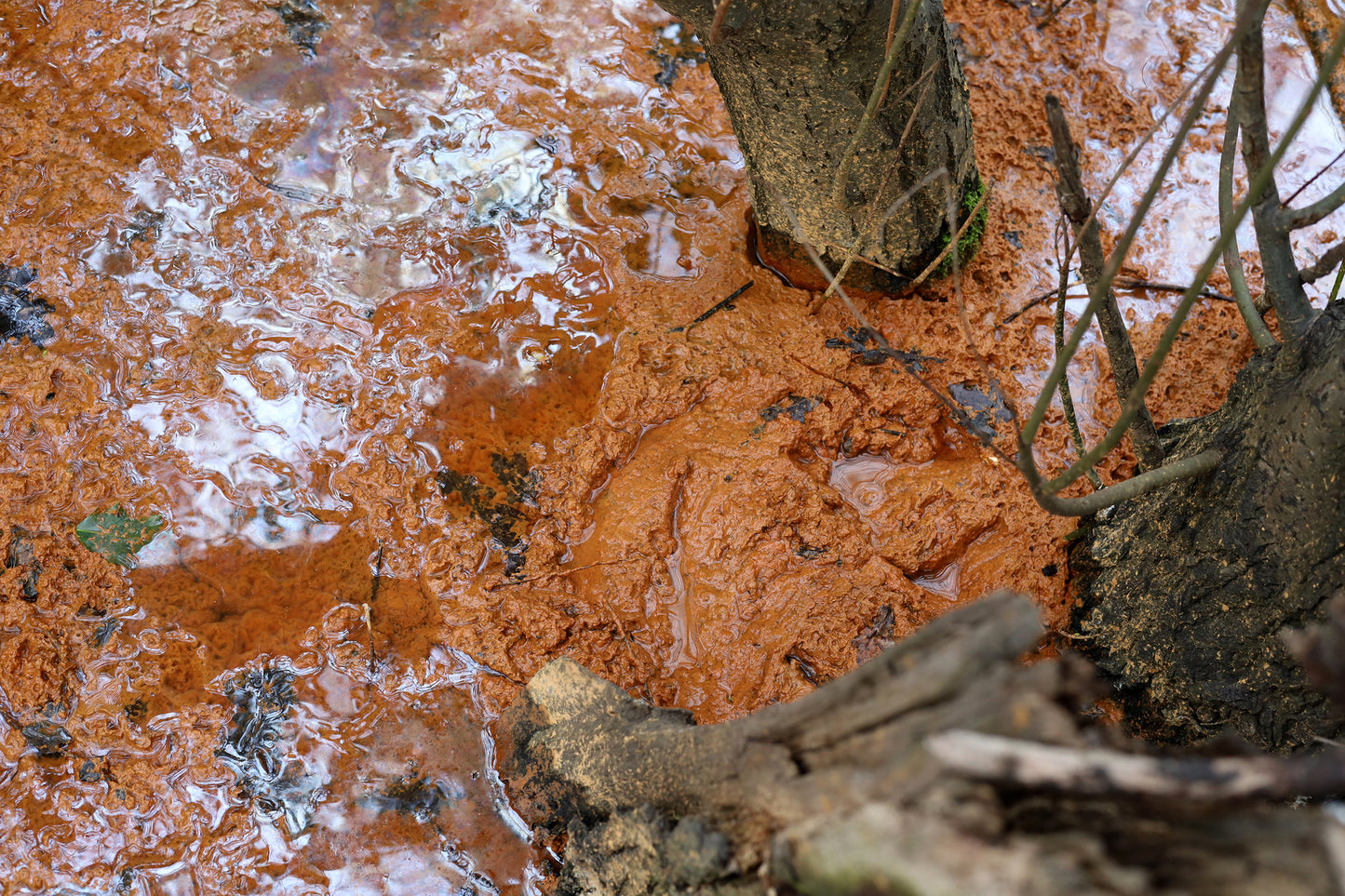 Waste Stream Colours From The Anthropocene