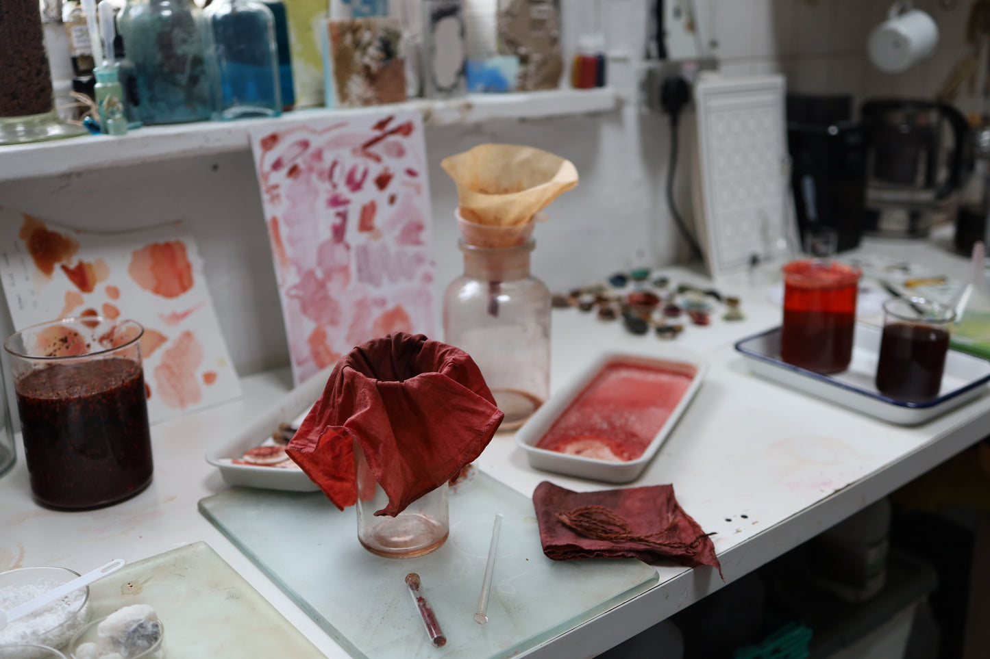 Crafting Botanical Inks